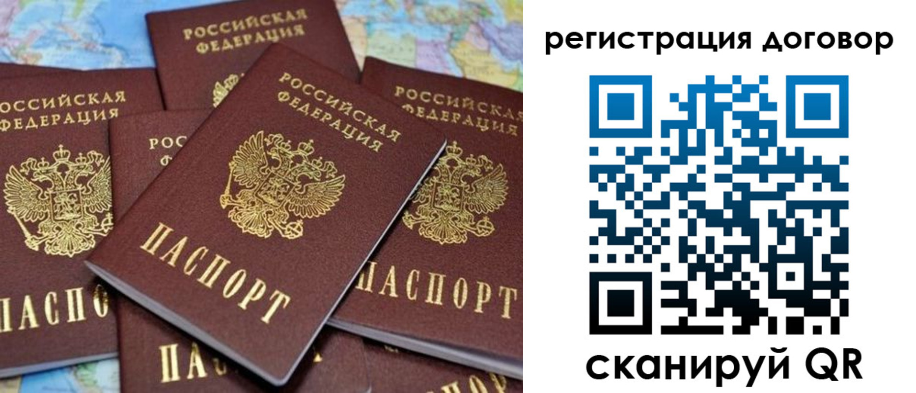 прописка гарантия в Зернограде